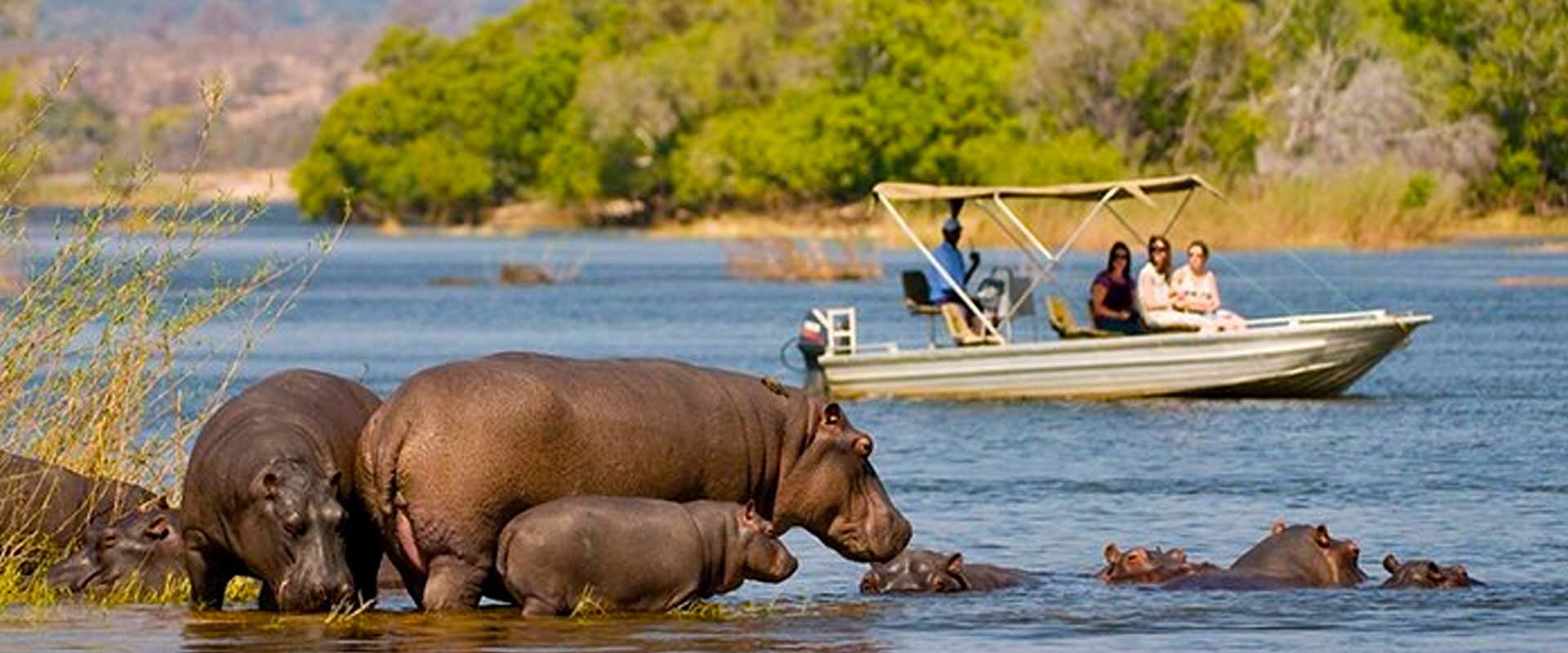 luxury-uganda-safaris-packages