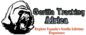Luxury Gorilla Trekking Africa